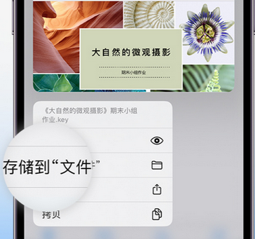 华州apple维修中心分享iPhone文件应用中存储和找到下载文件