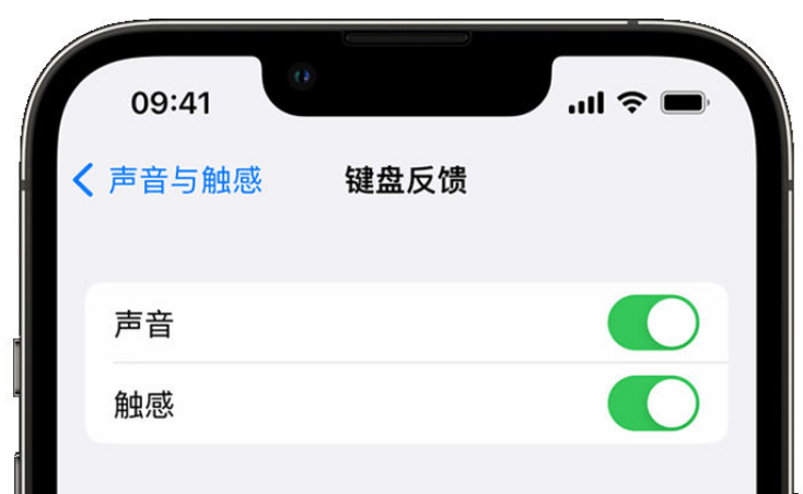 华州苹果手机维修分享iPhone 14触感键盘使用方法 