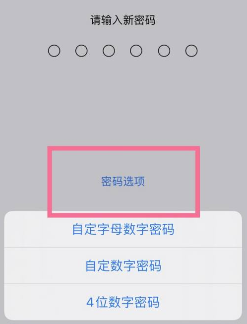 华州苹果14维修分享iPhone 14plus设置密码的方法 