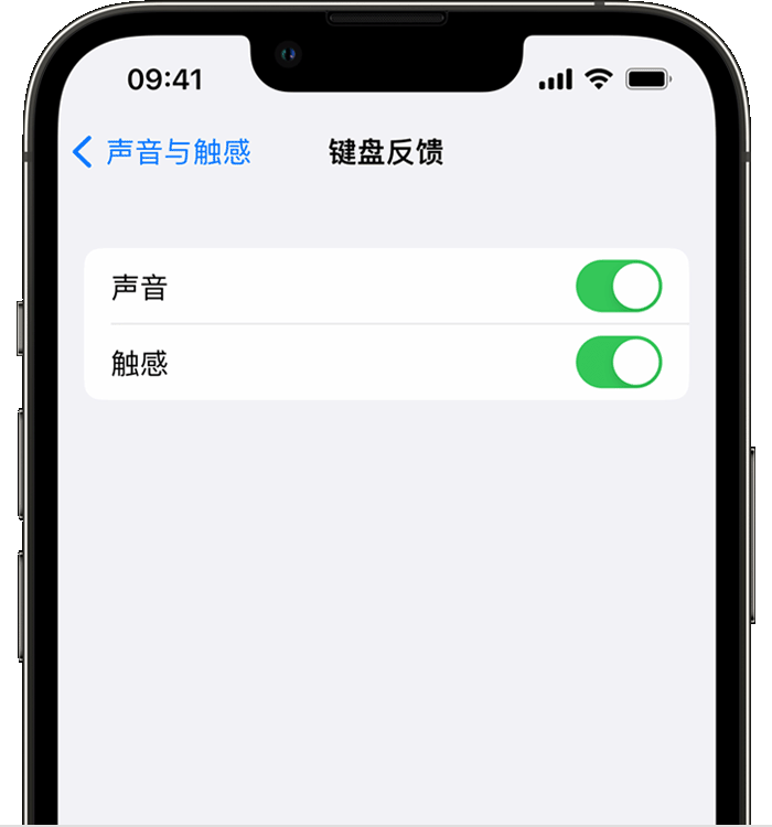 华州苹果14维修分享iPhone 14 系列机型如何开启键盘声音或触感反馈 