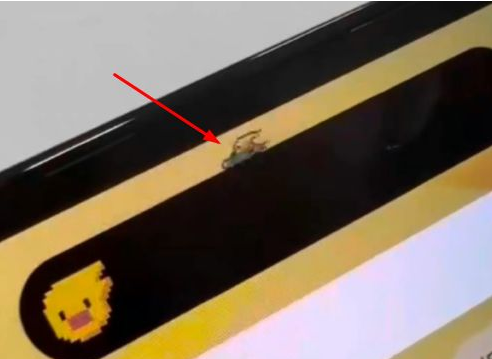 华州苹果14维修分享iPhone 14 Pro Max灵动岛怎么养宠物 