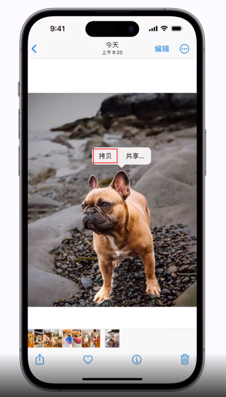 华州苹果手机维修分享 iOS 16 自带一键抠图功能 