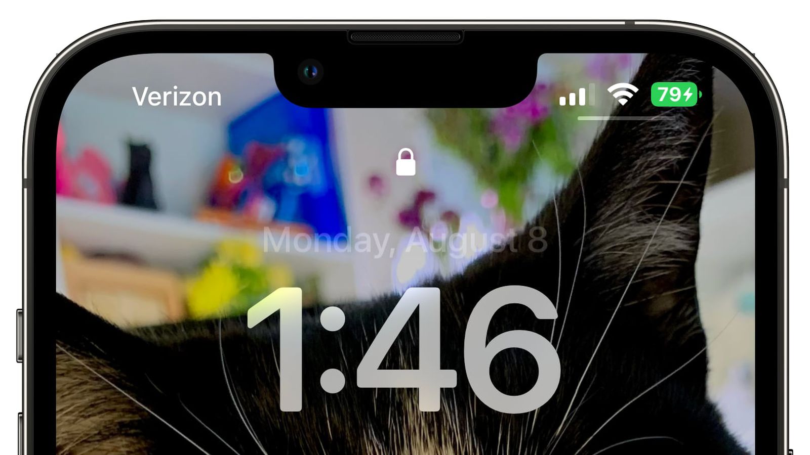 华州苹果手机维修分享iOS 16 beta 5 支持状态栏显示电池百分比，如何开启？支持哪些机型 