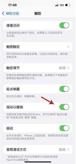 华州苹果手机维修分享iPhone手机如何设置摇一摇删除文字 