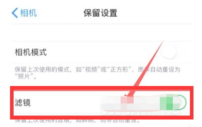 华州苹果13维修分享iPhone13拍照有绿点是怎么回事 